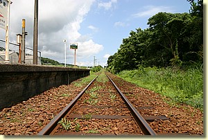 IMG_0529.JPG IMG_0529.JPG