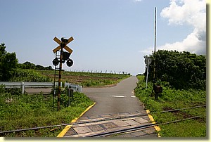 IMG_0544.JPG IMG_0544.JPG