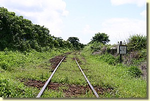 IMG_0545.JPG IMG_0545.JPG