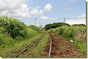 IMG_0546.JPG IMG_0546.JPG