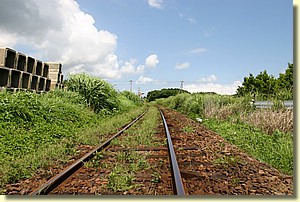 IMG_0548.JPG IMG_0548.JPG