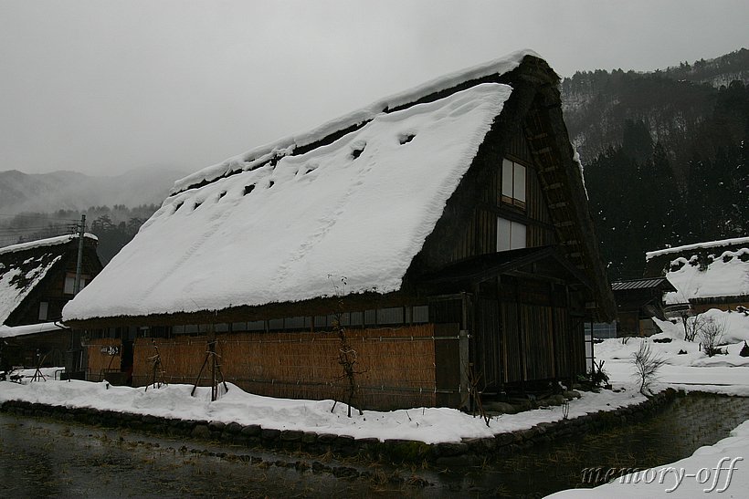 IMG_9533.JPG