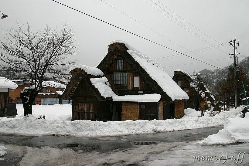 IMG_9542.JPG