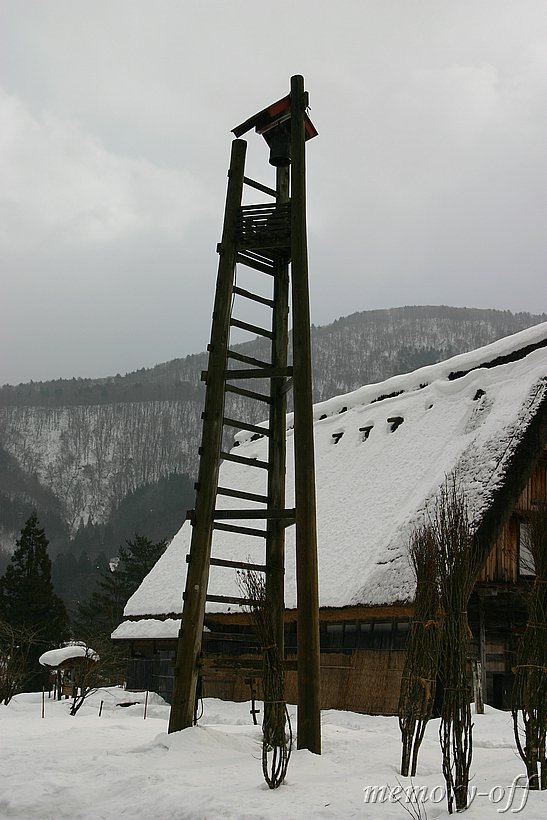 IMG_9604.JPG