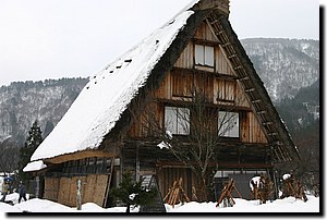 IMG_9595.JPG
