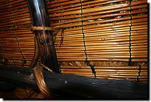 IMG_9619.JPG