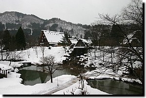 IMG_9621.JPG