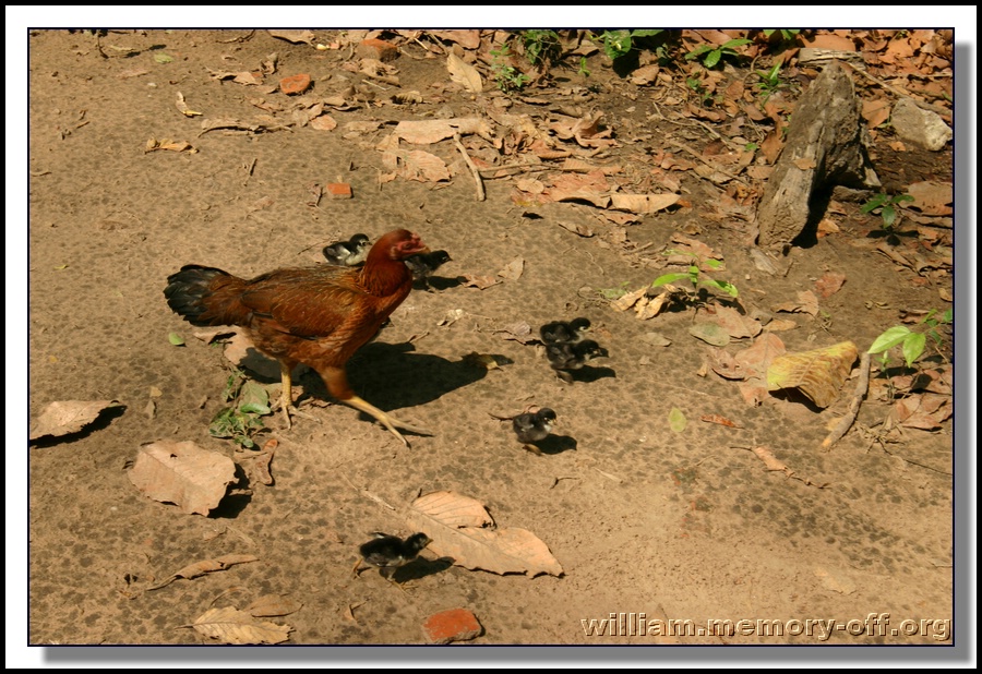 IMG_3367.JPG