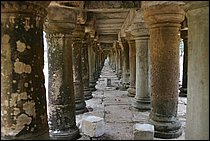 IMG_3452.JPG