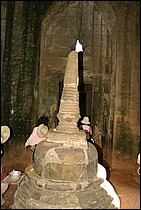 IMG_3500.JPG
