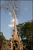 IMG_3511.JPG