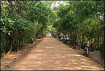 IMG_3525.JPG