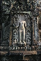 IMG_3542.JPG