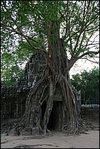 IMG_3553.JPG