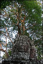 IMG_3559.JPG