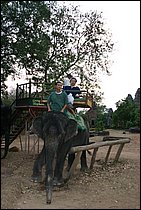 IMG_3806.JPG