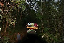 IMG_3814.JPG