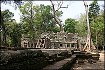 IMG_3851.JPG