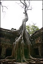 IMG_3856.JPG