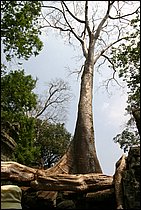 IMG_3863.JPG