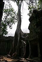 IMG_3865.JPG