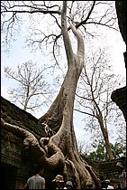 IMG_3883.JPG