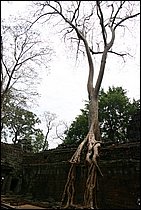 IMG_3886.JPG