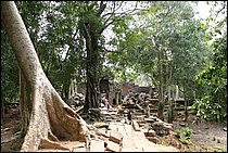 IMG_3892.JPG