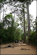 IMG_3893.JPG