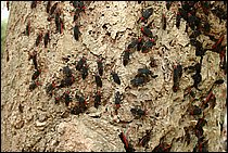 IMG_3894.JPG