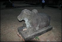 IMG_3976.JPG