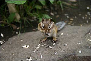 IMG_0348.JPG IMG_0348.JPG