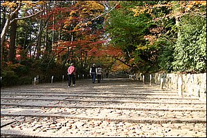 IMG_7715.JPG IMG_7715.JPG