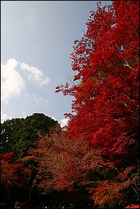 IMG_7727.JPG IMG_7727.JPG