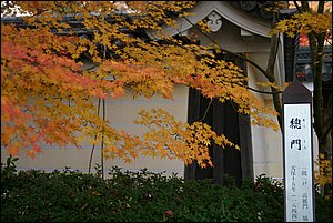 IMG_7744.JPG IMG_7744.JPG