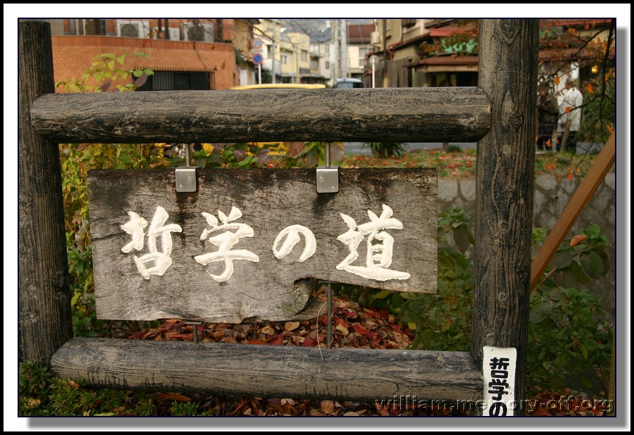 IMG_7951.JPG