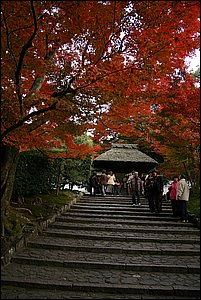 IMG_7964.JPG
