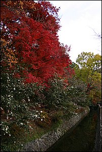 IMG_7986.JPG