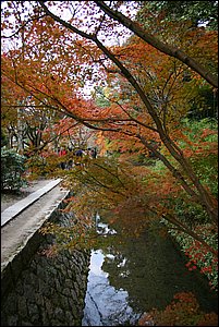 IMG_7996.JPG