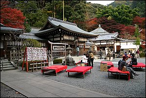 IMG_7999.JPG
