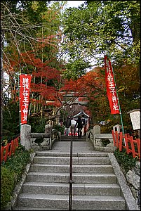 IMG_8001.JPG