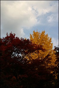 IMG_8025.JPG