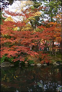 IMG_8029.JPG