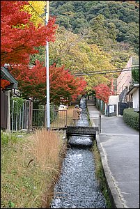 IMG_8032.JPG