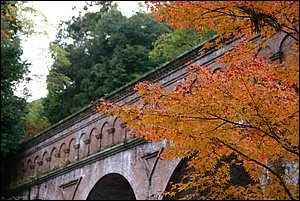 IMG_8041.JPG