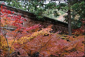 IMG_8047.JPG