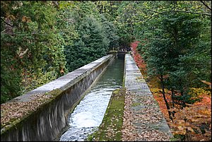 IMG_8050.JPG