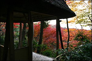 IMG_8053.JPG