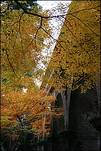 IMG_8061.JPG
