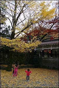 IMG_8074.JPG